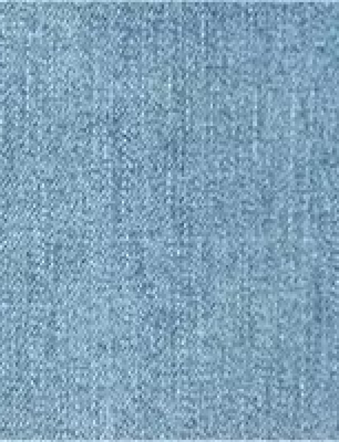 JEANS JANL