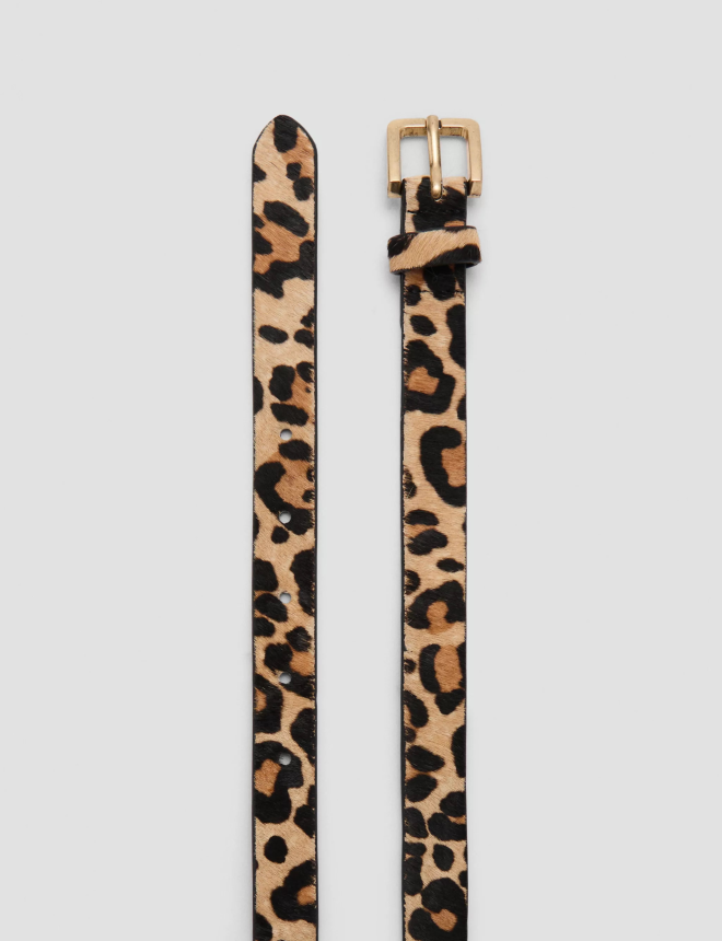 BELT LEO1